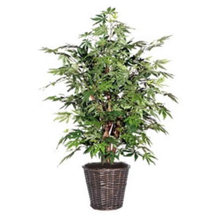 Vickerman 4 ft. Japanese Maple Extra Full TXX1840